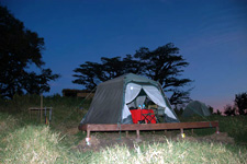 Tanzania-Tanzania-Kilimanjaro Big Game Trail